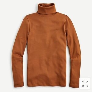 J. Crew Brown Turtleneck Top